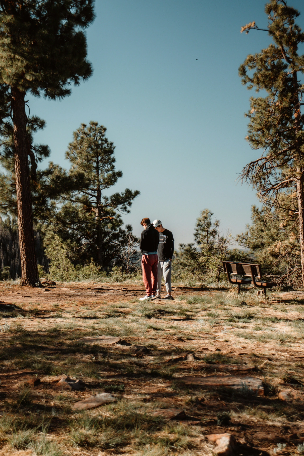 Two young men talking in the woods